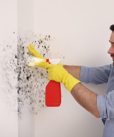 Moisissure visible contre moisissure cachée il y a deux problèmes, deux réponses