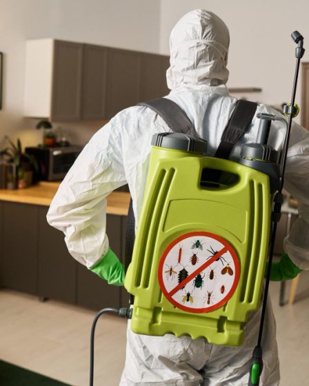se débarrasser efficacement des moucherons dans la maison